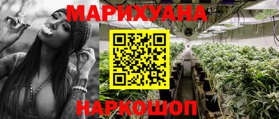 мяу мяу мука Малгобек