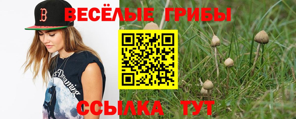 Псилоцибиновые грибы Cubensis  Вход с VPN  Зеленокумск  Псилоцибиновые грибы прущие грибы 